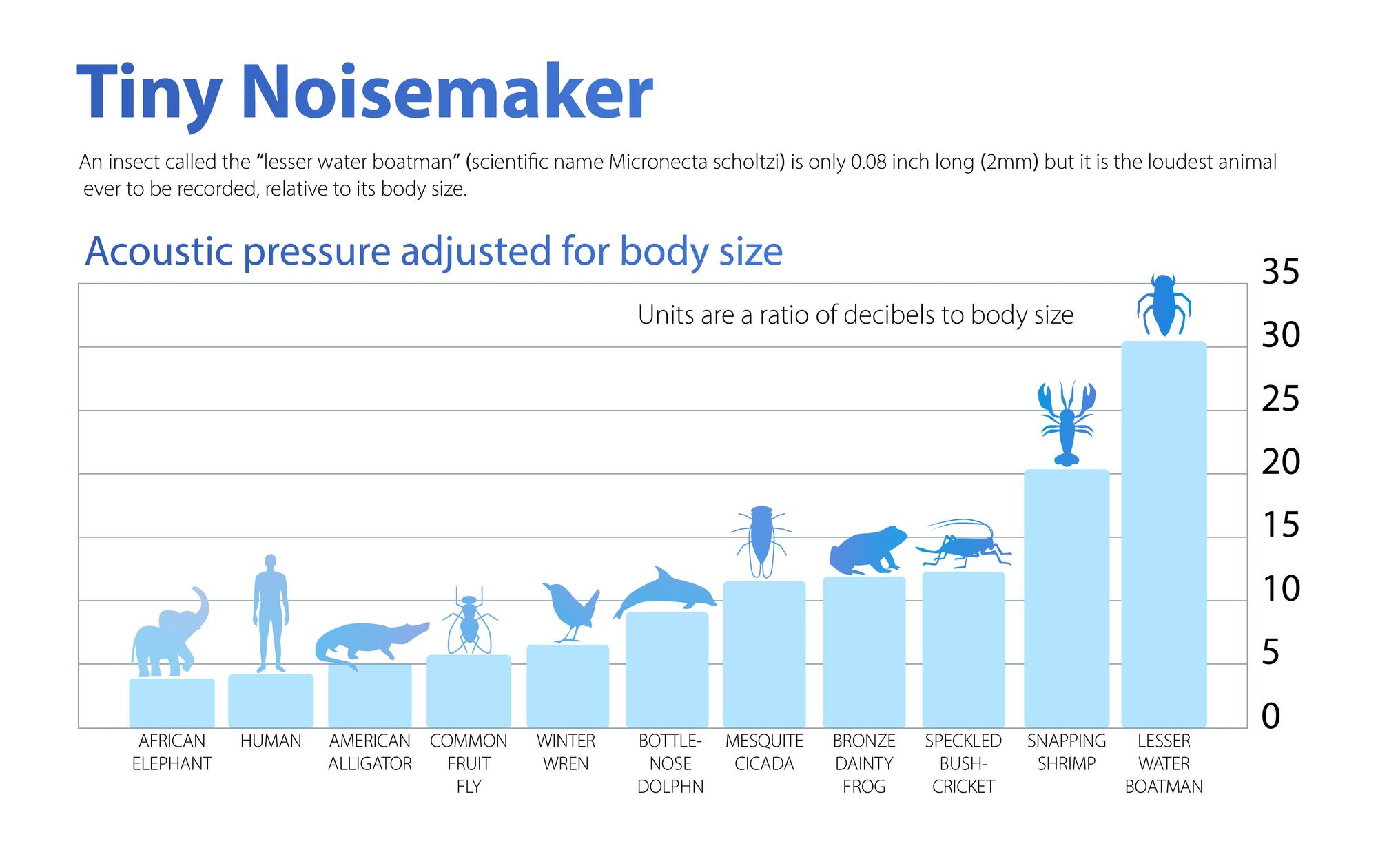 Top 123 + Loudest animal on earth - Lifewithvernonhoward.com