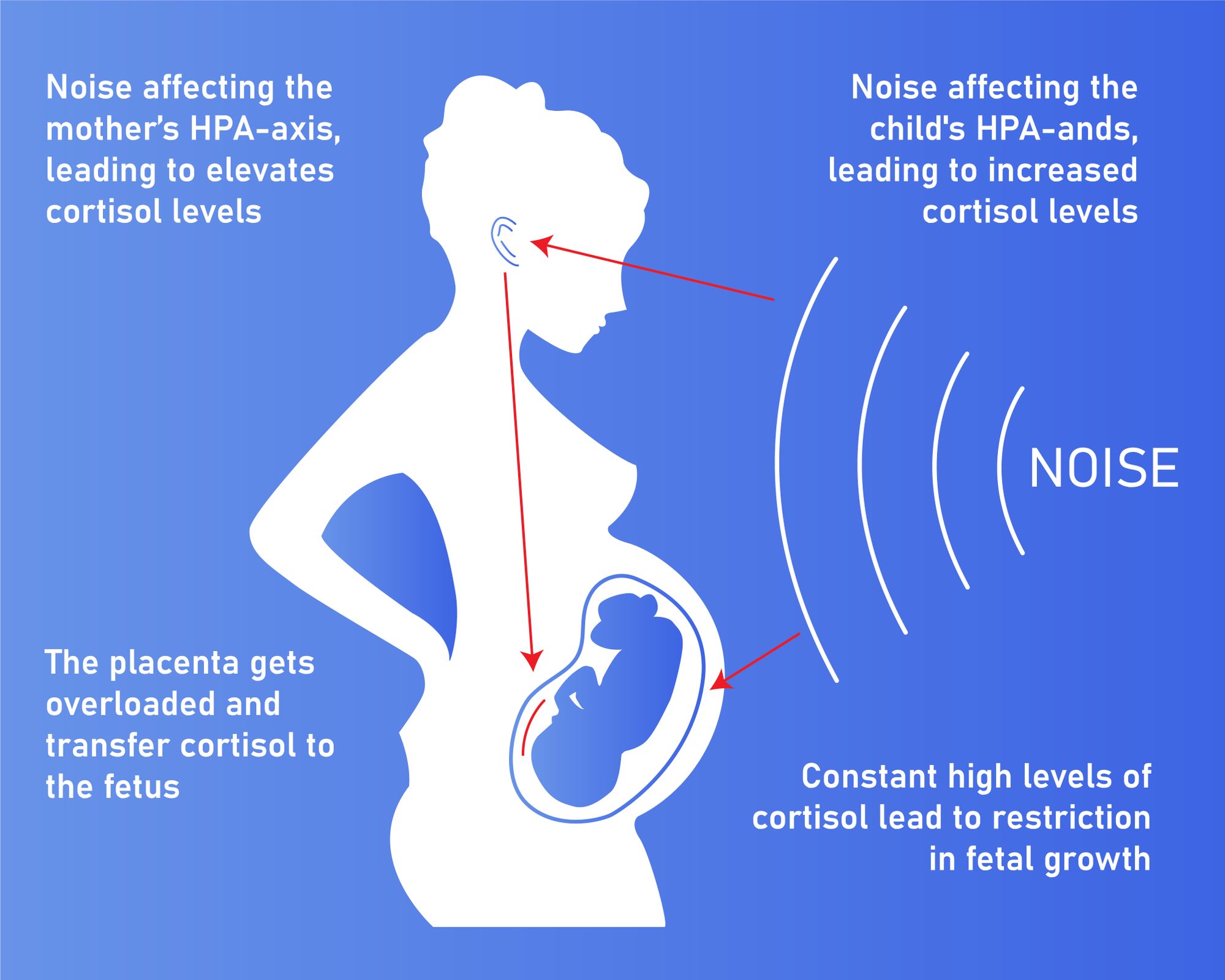 Loud Noises And Pregnancy | Exposure To Loud Noises While Pregnant