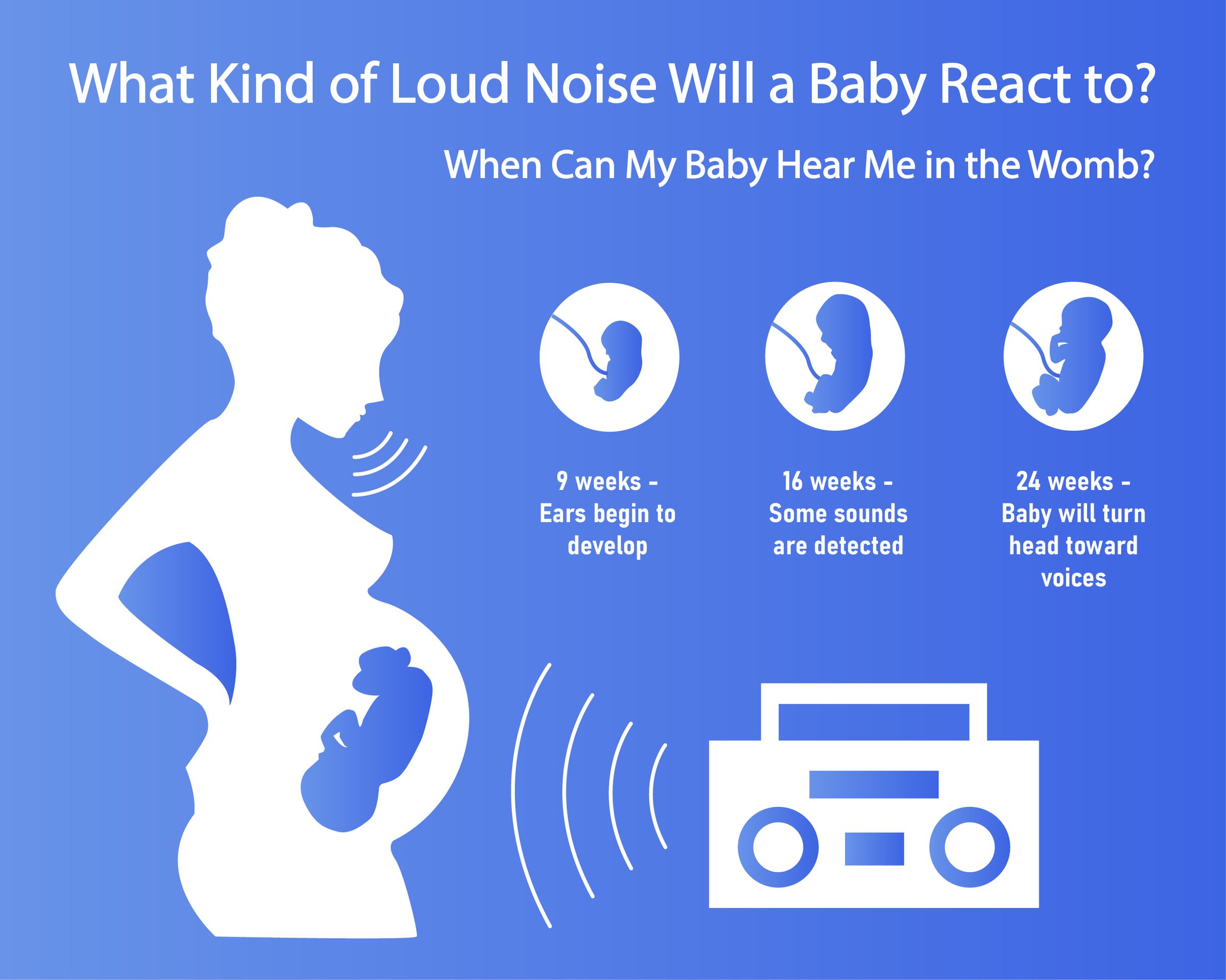 Loud Noises And Pregnancy Exposure To Loud Noises While Pregnant